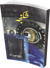 shikanja by tariq ismail sagar